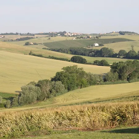 Il Campetto 세니갈리아