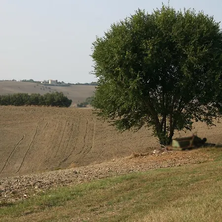 Il Campetto Senigallia