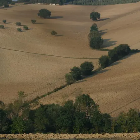 Bed & Breakfast Il Campetto 3*