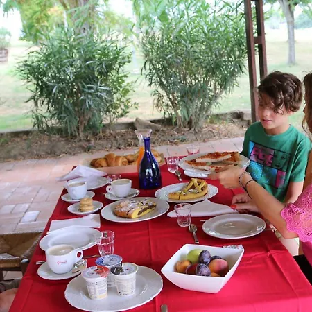 Bed & Breakfast Il Campetto