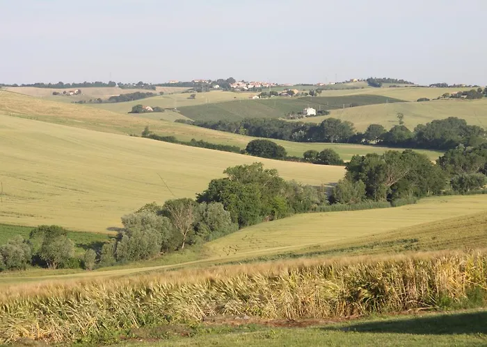 Il Campetto Senigallia