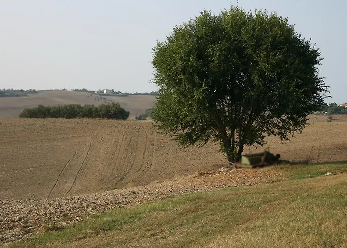 Il Campetto Senigallia
