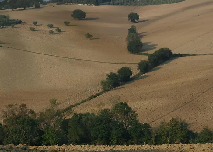 Couette-café Il Campetto 3*